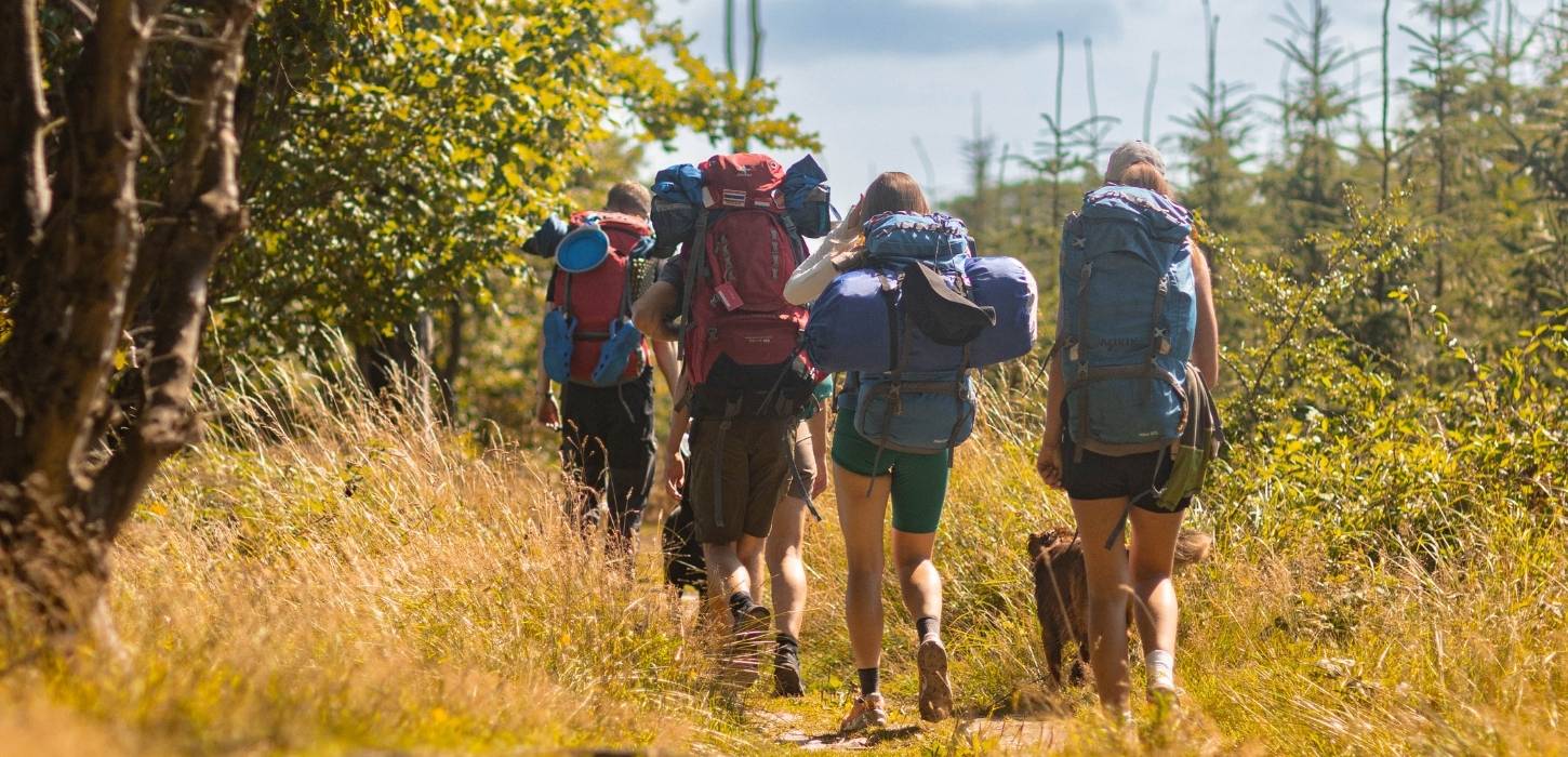 En gruppe bestående af fire personer går med ryggen til i et landskab med træer, højt græs, og iført vandreudstyr og rygsække