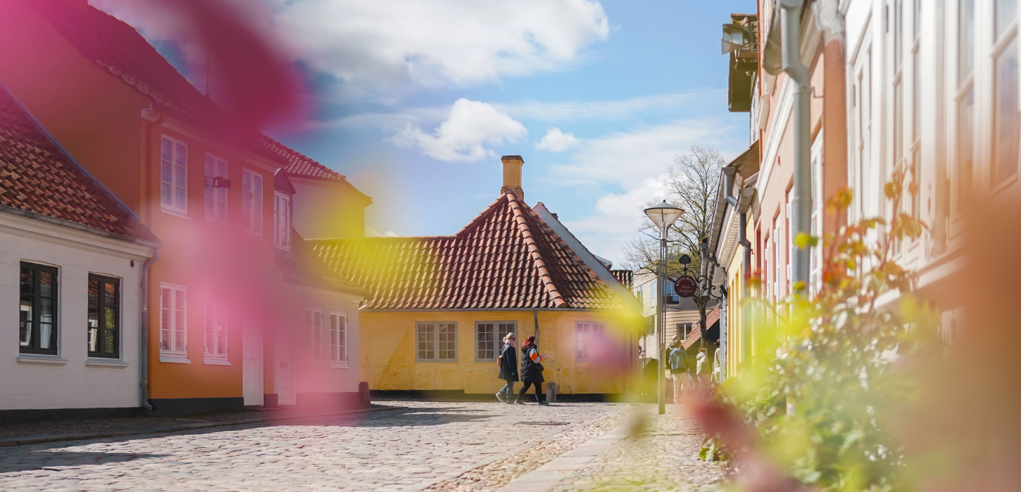 Under en blå og gennem et bed med grønne planter ses en brostensgade med gamle farverige huse. 