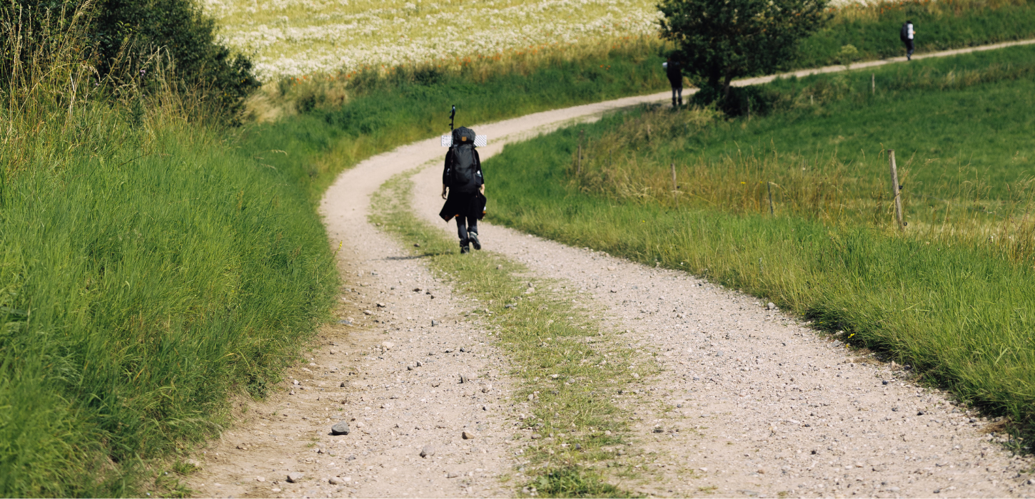 En vandrer går på Øhavsstien på en snoet grussti gennem grønt landskab