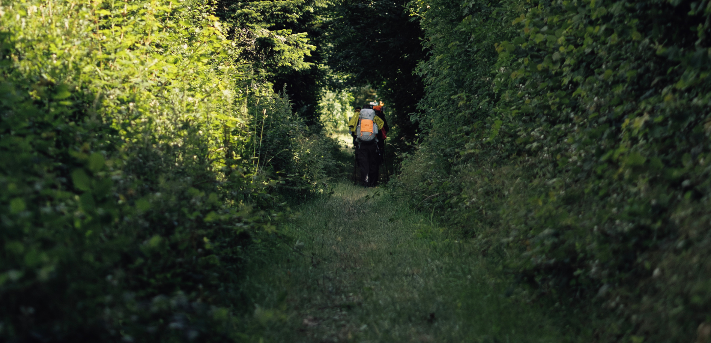 To vandrere med ryggen til og med oppakning på ryggen går igennem et hul i en skov
