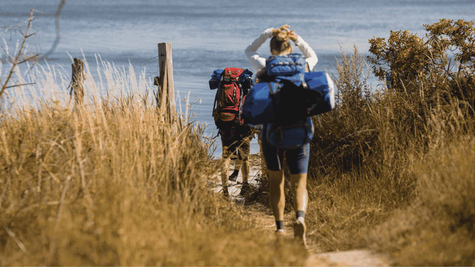To vandrere er på vej igennem højt græs ned til havet, og de bærer begge vandreudstyr og rygsæk
