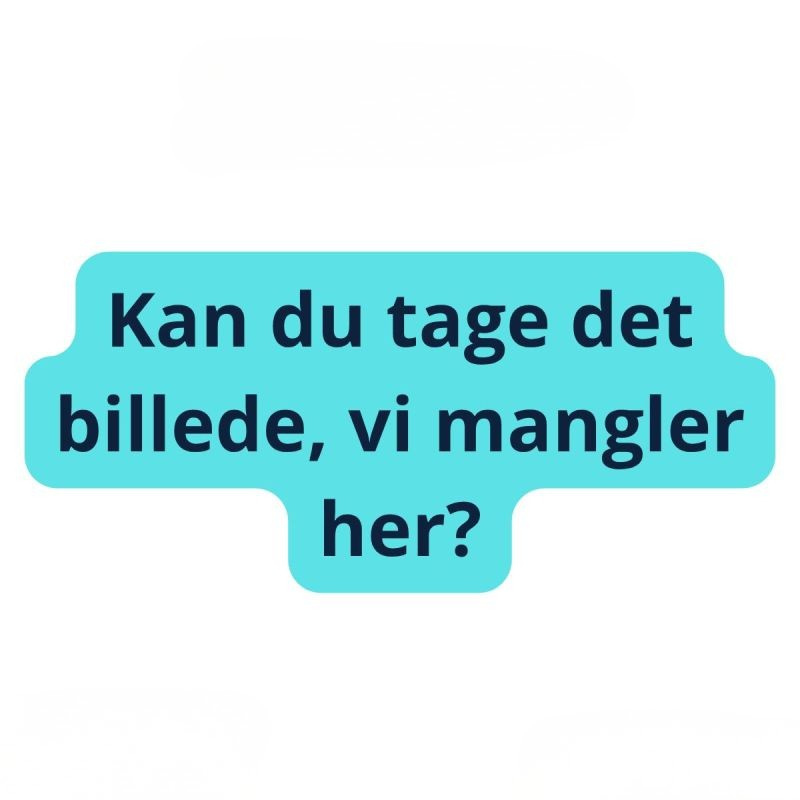 Tekst: Kan du tage det billede, vi mangler her?