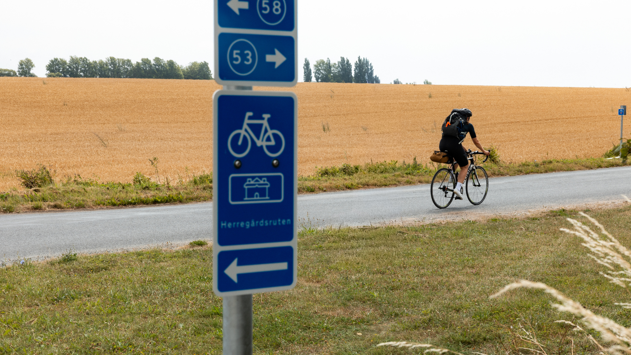 En cyklist cykler på en vej med marker til begge sider på Herregårdsruten på Fyn
