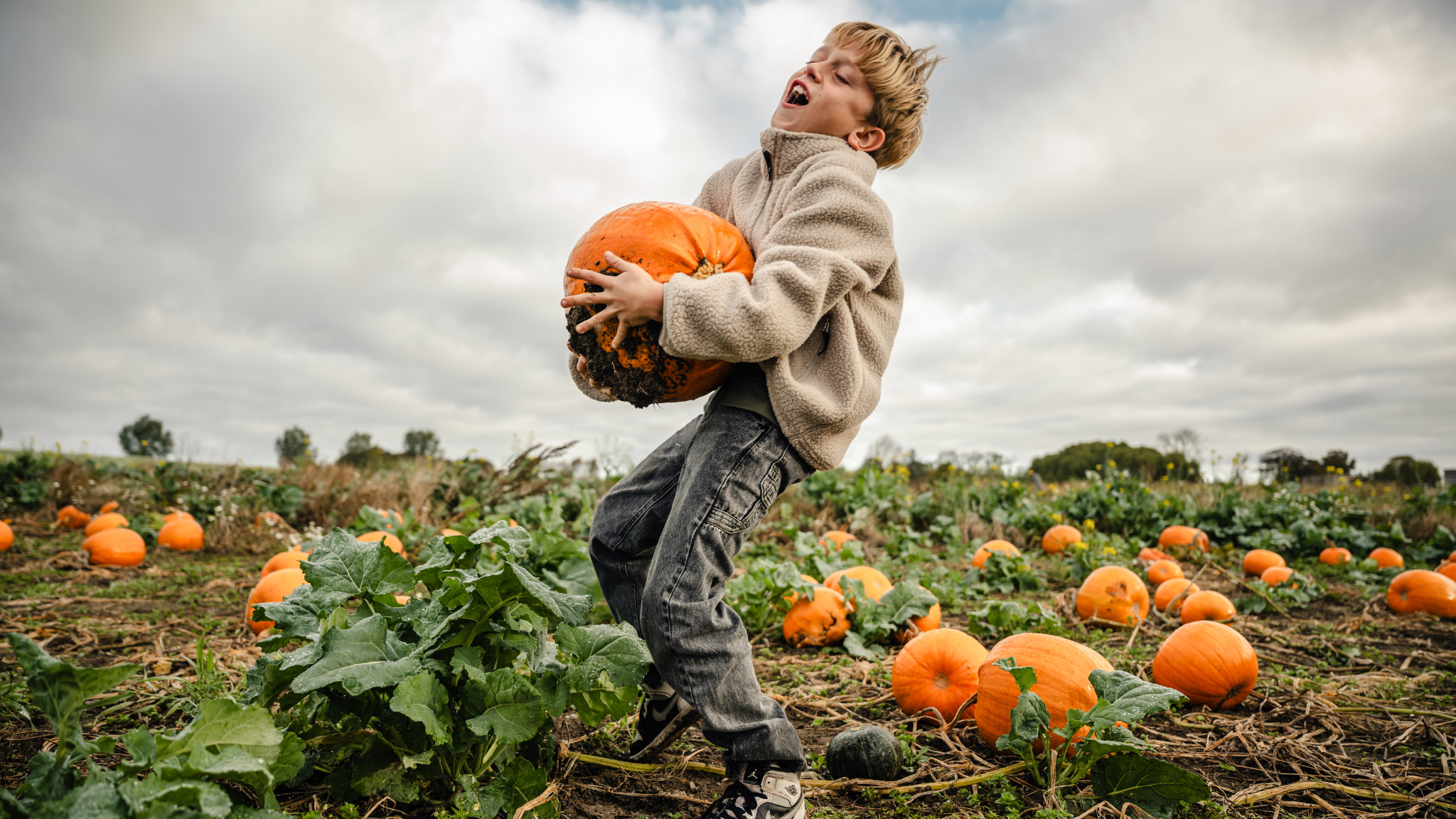 En dreng iklædt fleece løfter et stort orangefarvet græskar på en mark en overskyet dag.