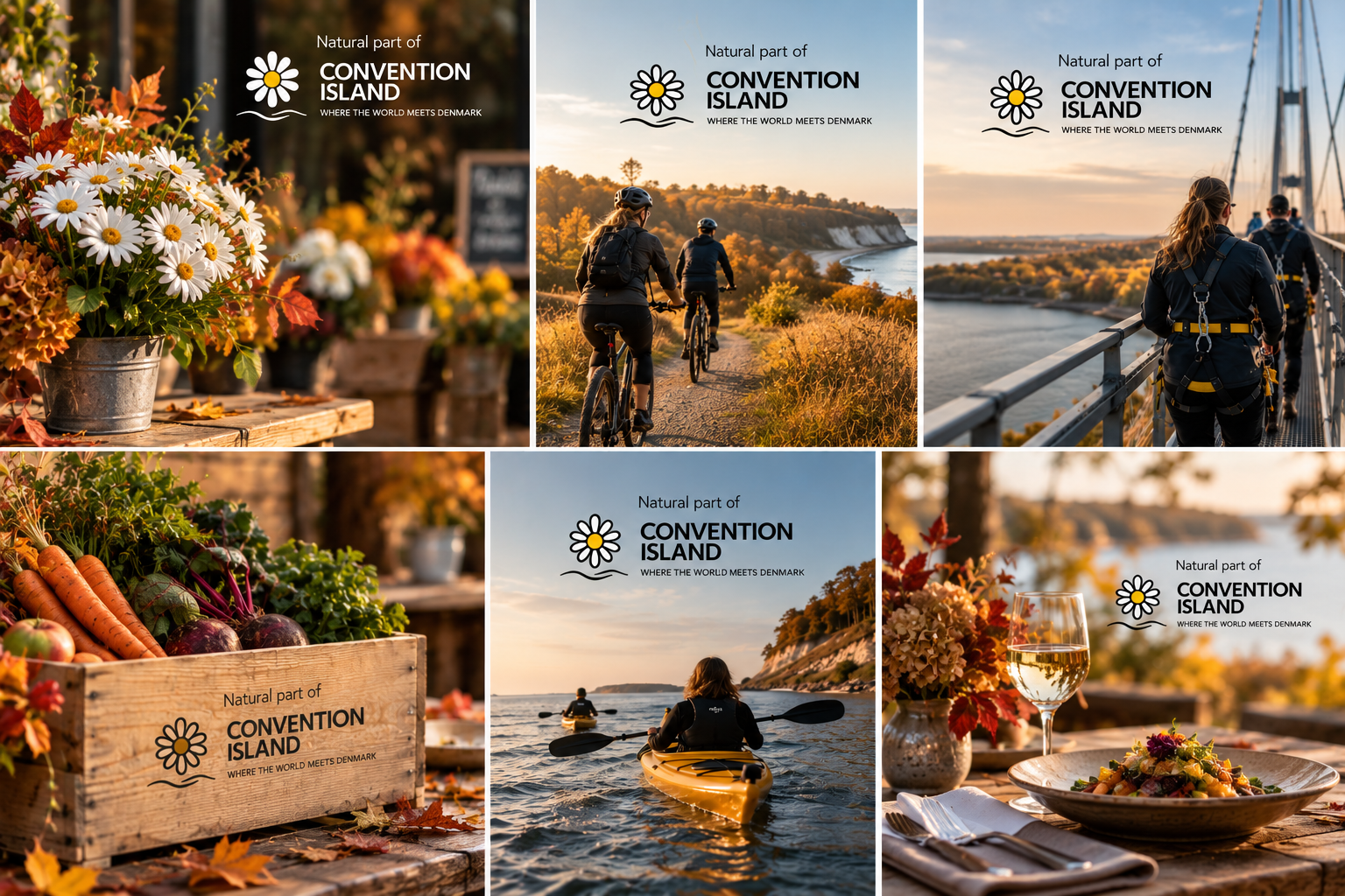 6 eksempler på billeder af oplevelser på Fyn og Øerne med teksten "Natural part of Convention Island"