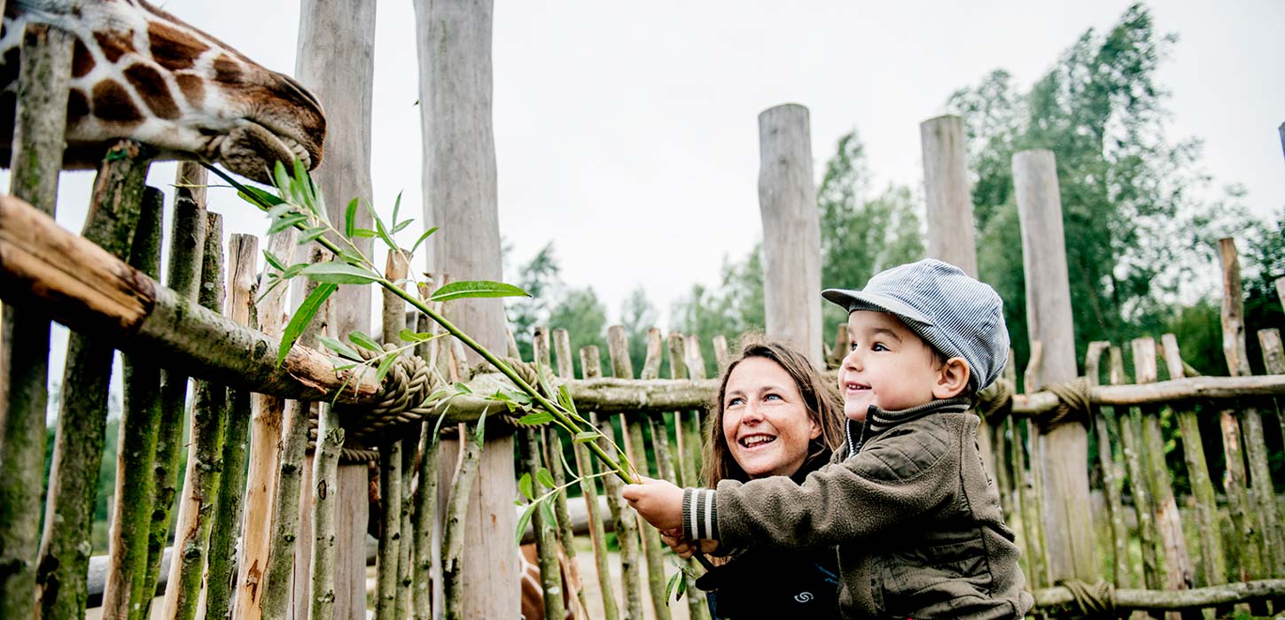 See The Animals Right Up Close At Odense Zoo See The Animals Right Up Close At Odense Zoo