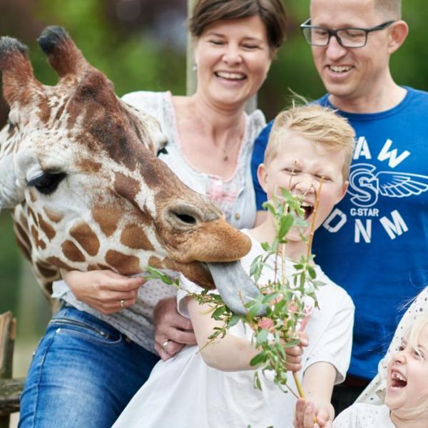 See The Animals Right Up Close At Odense Zoo