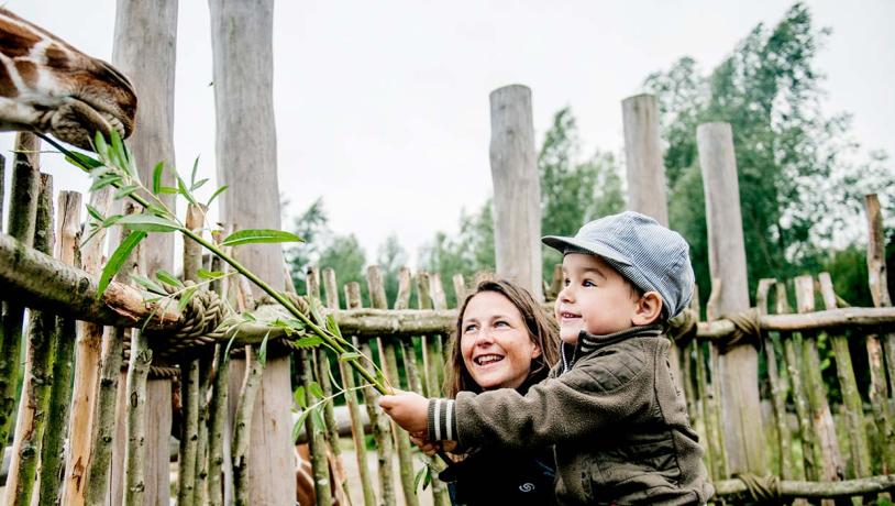 See The Animals Right Up Close At Odense Zoo