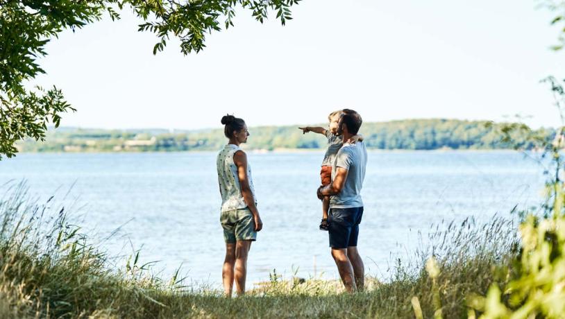 Familie står i skygge under et træ langs vandkanten og peger ud over havet.