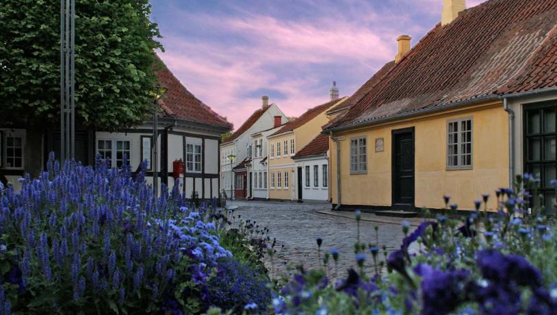 Under en lyserød himmel og gennem et bed med lilla blomster ses en brostensgade med gamle farverige huse. 