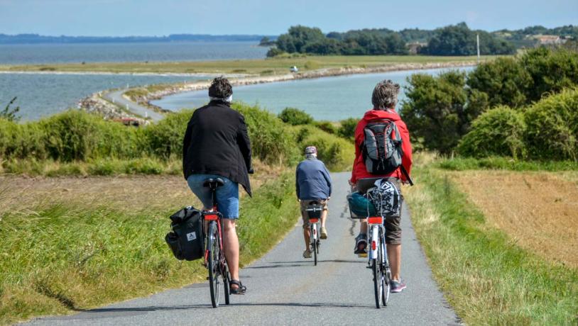 Tre cyklister set bagfra, der kører på en lille asfaltvej med marker til begge sider og hav i baggrunden. 