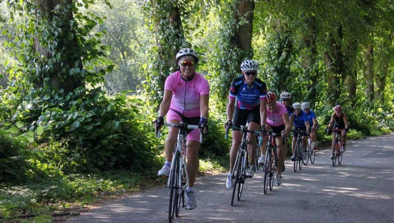 Kvindelige cykelryttere på vej op ad lille bakke med store træer i baggrunden.