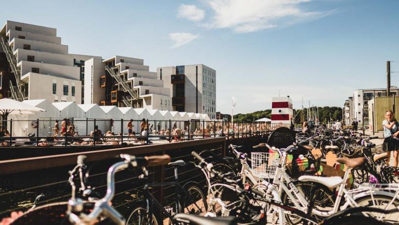 Cykler på havnen i Odense 