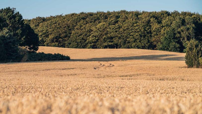 Oplev naturen på Langeland