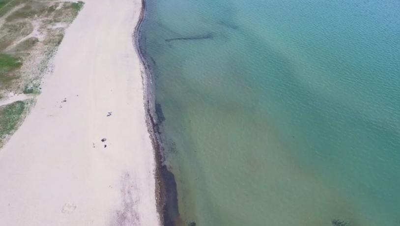 En dronebillede af en strand. Til venstre ses grønt græs. I midten er sand. Til højre er havet.