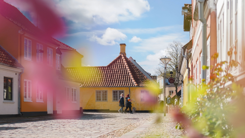 Under en blå og gennem et bed med grønne planter ses en brostensgade med gamle farverige huse.