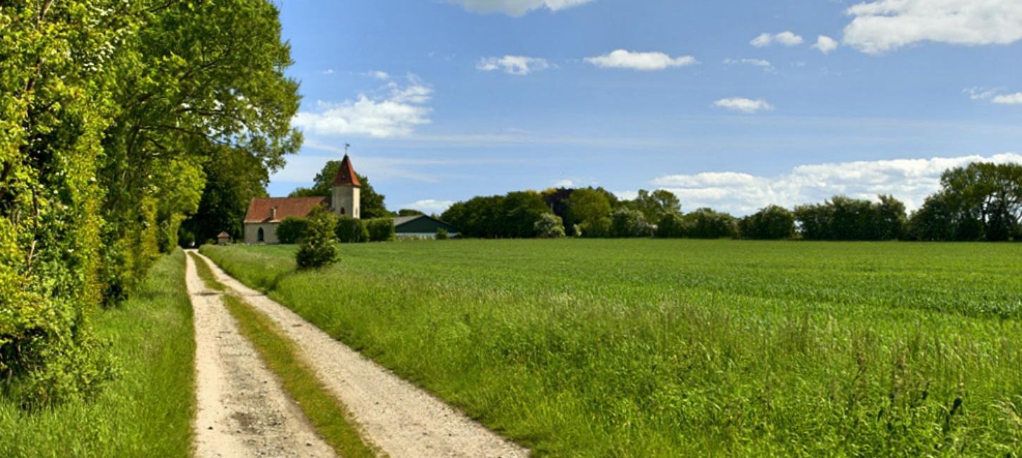 Markvej med et tæt naturhegn af træer til den ene side og en stor grøn mark til den anden side. For enden af markvejen ses en prægtig bygning med røde tage og spir. Høj, blå himmel med hvide skyer i baggrunden.