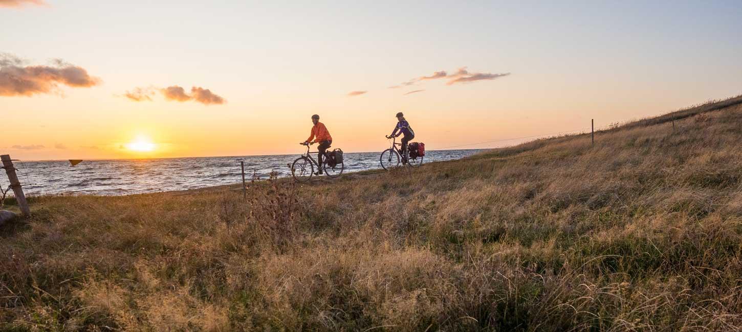 To cyklister kører langs med vandet med solnedgang i baggrunden og bølgende græs i forgrunden.