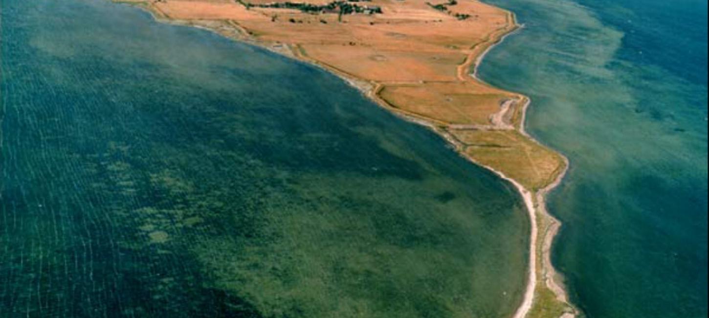 Dronefoto af den smalle tange ud til Birkholm, omgivet af vand til begge sider.