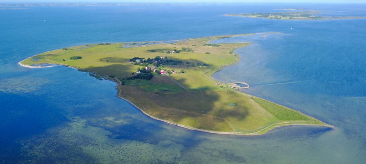 Dronebillede af Hjortø. Øen er både omgivet af blåt vand og himmel.