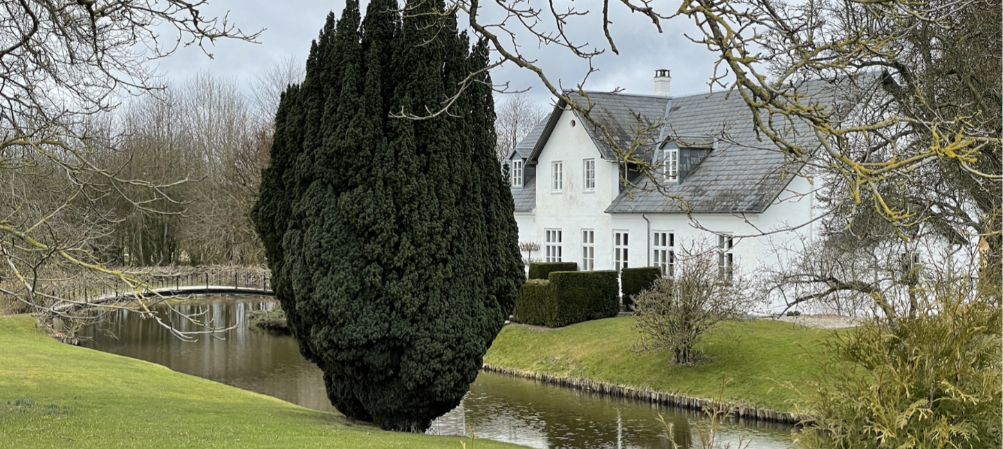 Hvid herregård med gråt tag med vand i forgrunden samt et stort mørkegrønt træ i midten af billedet.