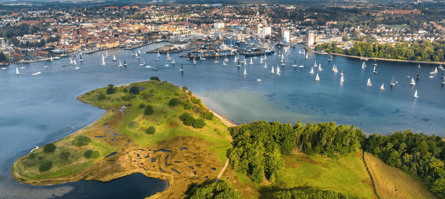 Et luftfoto af en masse Silverrudders under den årlige sejlads ved Svendborg Sund