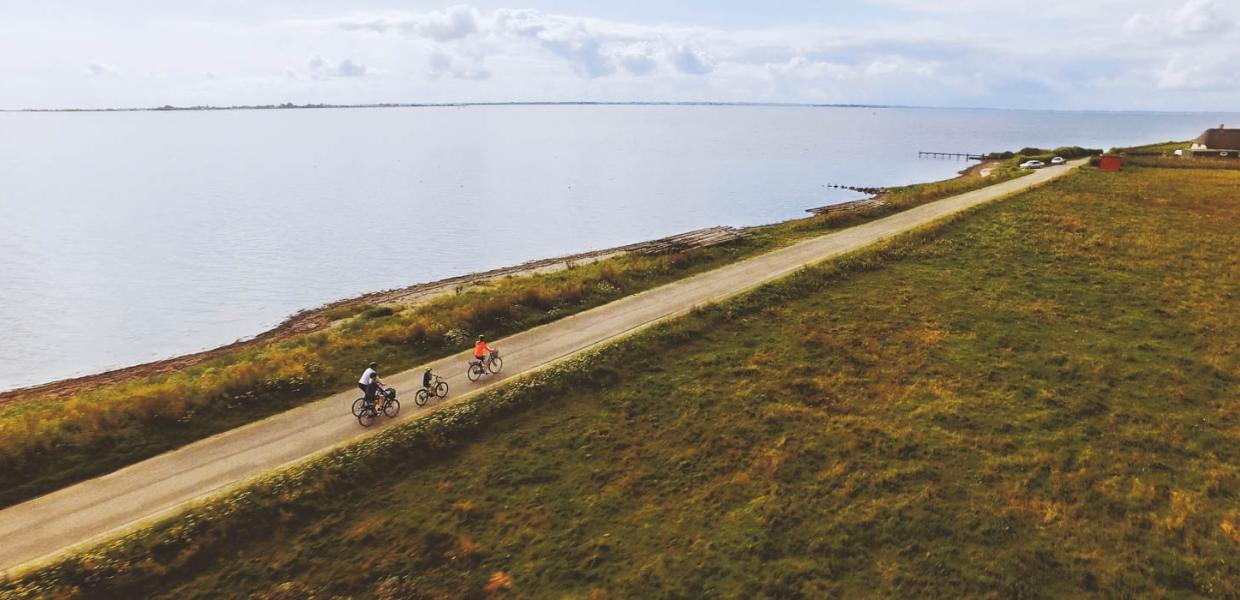 Cyklister på den fynske del af Østersøruten
