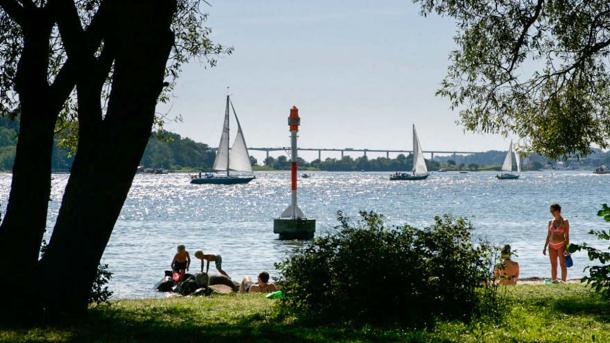 I forgrunden er der træer i begge sider og en busk i midten. Bagved kan man se mennesker i badetøj lege i vandet eller sole på stranden. I baggrunden er havet med tre både og en stor bro i horisonten.