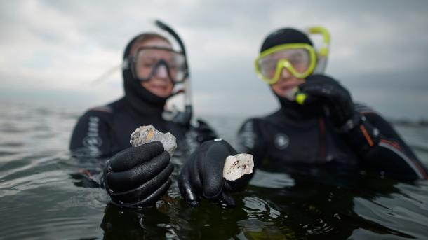 To personer i havet med snorkeludstyr viser fund fra havbunden frem. Der er overskyet og gråt.