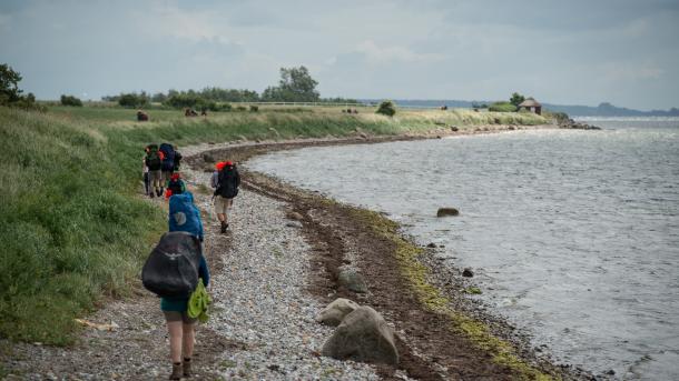 Syv vandrere med hver deres vandrerygsæk går ved strandkanten langs vandet.