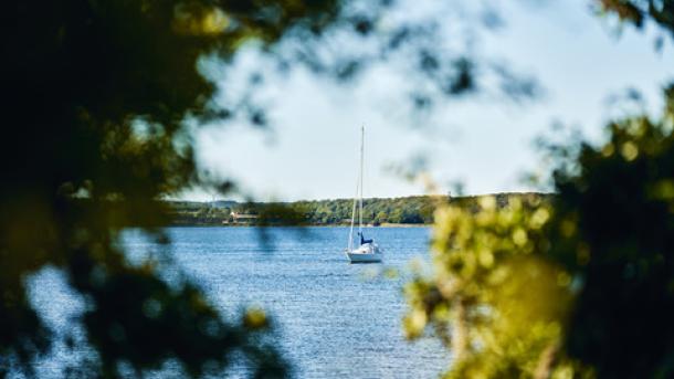 En båd på havet set fra et sted på land med omkransende træer 