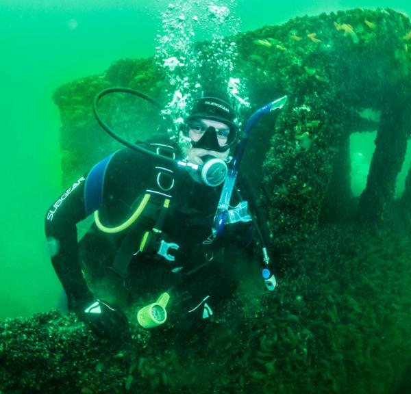 Dykning dyk diving aktiv hav Fyn øhavet