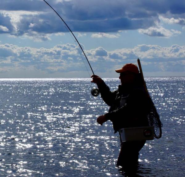 Sort silhuet af sportsfisker, der står med siden til og fiske i dybblåt vand op mod en blå himmel med blå skyer. Han har bid.