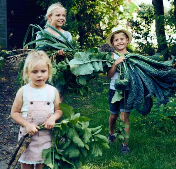 Tre børn med rabarber og kål i favnene. Bag dem ses kanten af et sort sommerhus og til højre er en høj hæk.