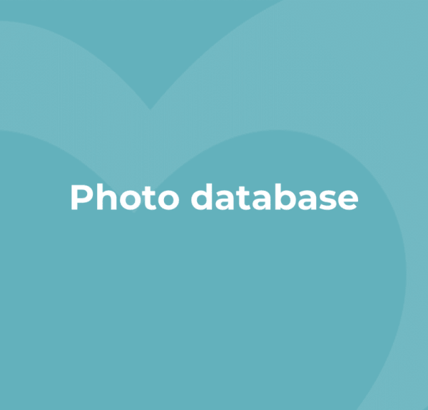 Photo database
