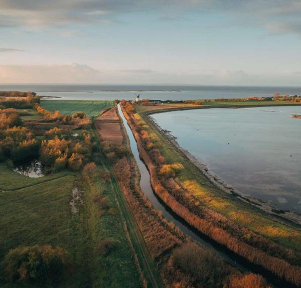 Luftfoto af strand og vådområde og træer i efterårsfarver.