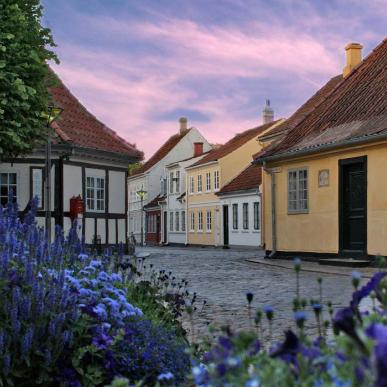 Under en lyserød himmel og gennem et bed med lilla blomster ses en brostensgade med gamle farverige huse. 