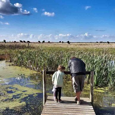 Gyldensteen strand natur vandring efterår