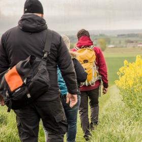 Tre vandrere er på vej ned af en bakke med gul rapsmark til højre for dem