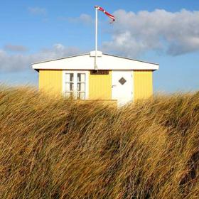 Gult sommerhus i midten af et strandligt landskab.