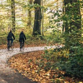 To cyklister med ryggen til cykler af sted på asfaltsti i efterårsskov med nedfaldne blade.