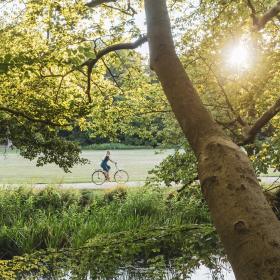 Gennem grene og blade ved sø anes cyklist på sti i baggrunden.