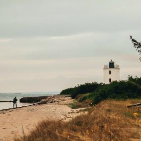 Strand på Bågø. En person går på stranden til venstre i billedet og fyrtårnet ses i baggrunden midt i billedet. Til højre står et par store træer og der er masser af strandgræs.