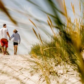 Family walking hand in hand along the beach