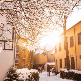 A snowy scene from Odense with old, yellow-coloured houses, christmas trees and the sun shining. 