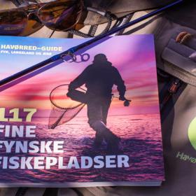 Bog om fynske fiskepladser placeret med et par solbriller og et Havørred Fyn logo